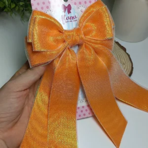 LAÇO DE PONTA (BRILHO)