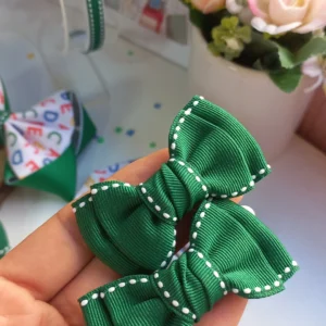 PARZINHO ESCOLAR VERDE BANDEIRA